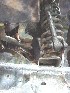 Steering linkage from below (driver's side)